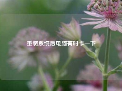 重装系统后电脑有时卡一下