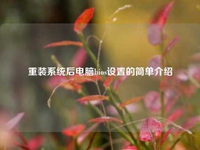 重装系统后电脑bios设置的简单介绍