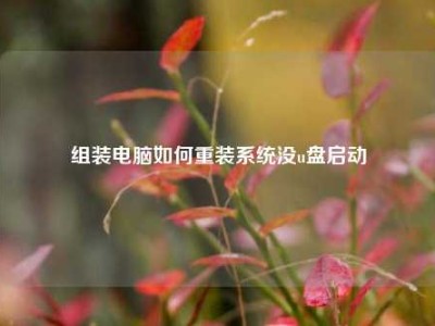 组装电脑如何重装系统没u盘启动