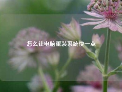 怎么让电脑重装系统快一点