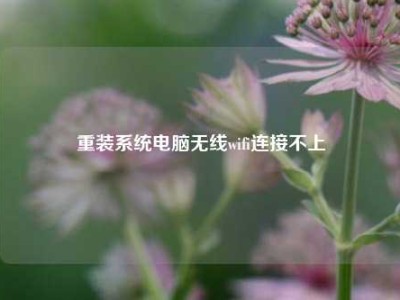 重装系统电脑无线wifi连接不上