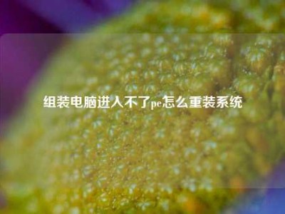 组装电脑进入不了pe怎么重装系统