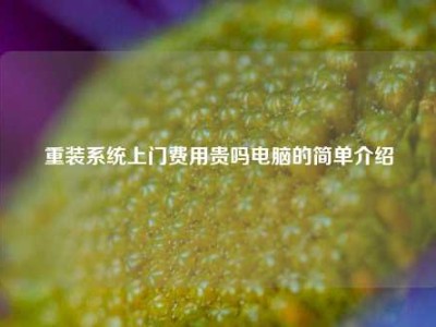 重装系统上门费用贵吗电脑的简单介绍