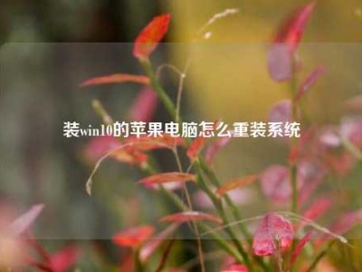 装win10的苹果电脑怎么重装系统