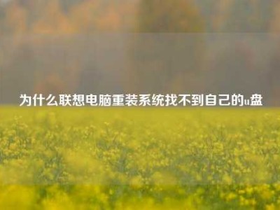 为什么联想电脑重装系统找不到自己的u盘