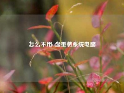 怎么不用u盘重装系统电脑