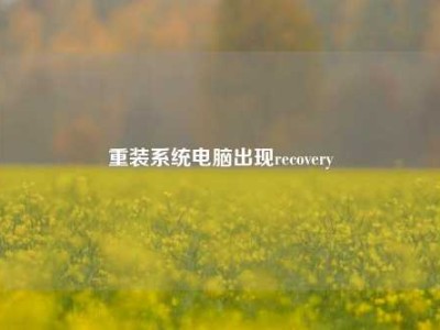 重装系统电脑出现recovery