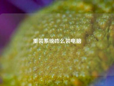 重装系统咋么装电脑