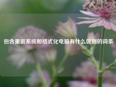 包含重装系统和格式化电脑有什么区别的词条