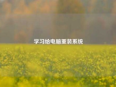 学习给电脑重装系统