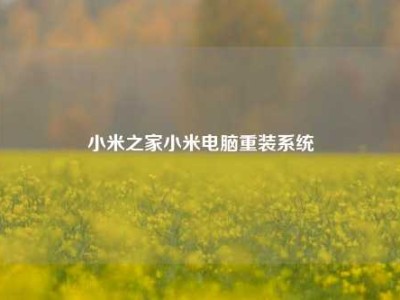 小米之家小米电脑重装系统