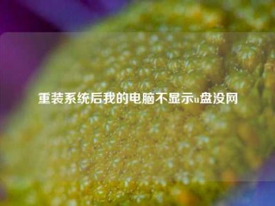 重装系统后我的电脑不显示u盘没网