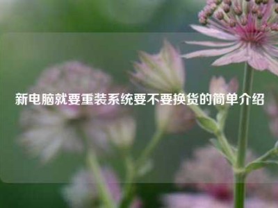 新电脑就要重装系统要不要换货的简单介绍