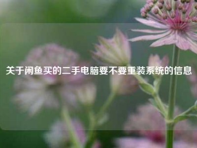 关于闲鱼买的二手电脑要不要重装系统的信息