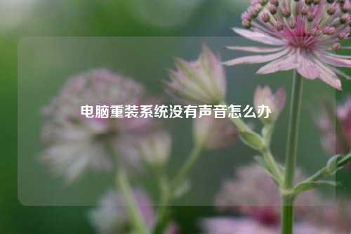 电脑重装系统没有声音怎么办