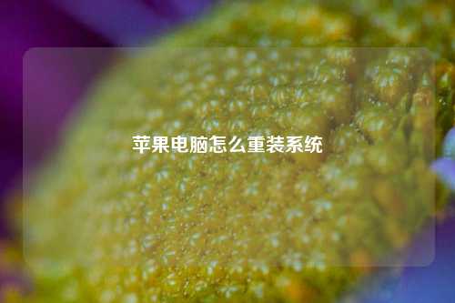 苹果电脑怎么重装系统