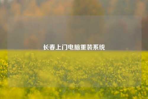 长春上门电脑重装系统