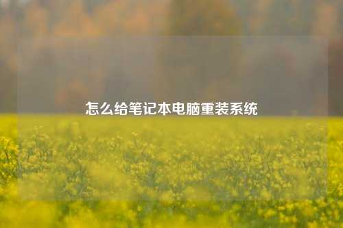 怎么给笔记本电脑重装系统