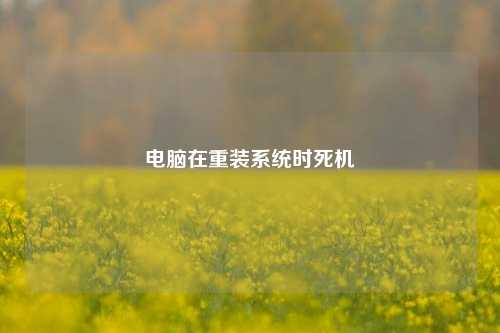 电脑在重装系统时死机