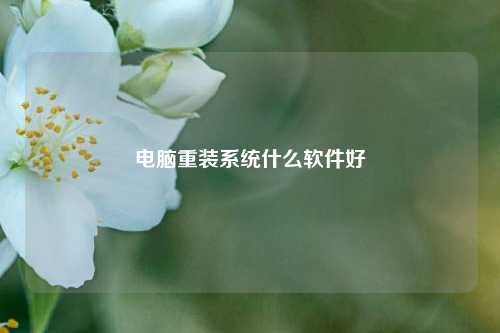 电脑重装系统什么软件好