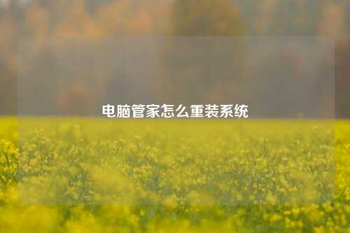 电脑管家怎么重装系统