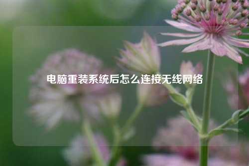 电脑重装系统后怎么连接无线网络