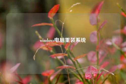 windows电脑重装系统