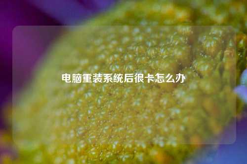 电脑重装系统后很卡怎么办