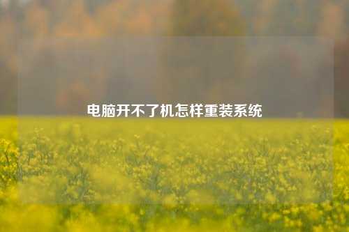 电脑开不了机怎样重装系统