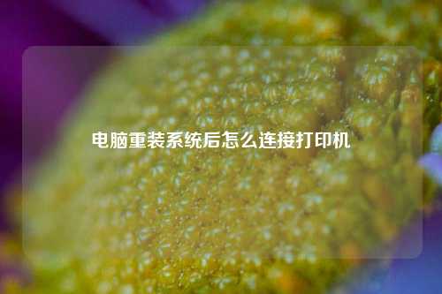 电脑重装系统后怎么连接打印机