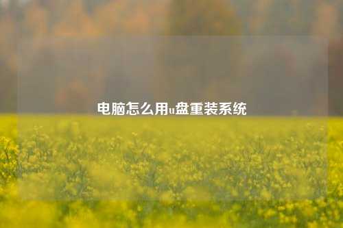 电脑怎么用u盘重装系统