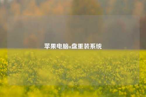 苹果电脑u盘重装系统