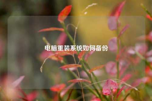 电脑重装系统如何备份