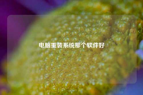 电脑重装系统那个软件好