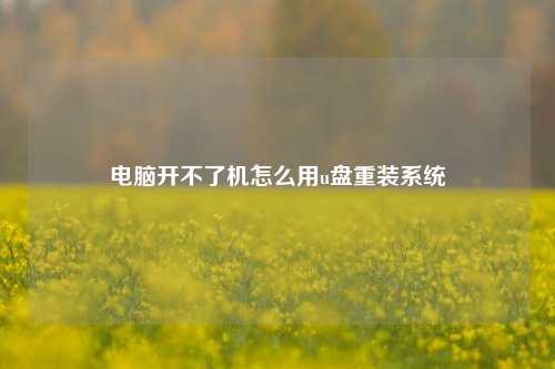 电脑开不了机怎么用u盘重装系统