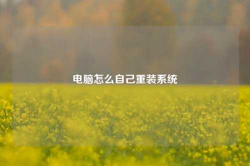 电脑怎么自己重装系统