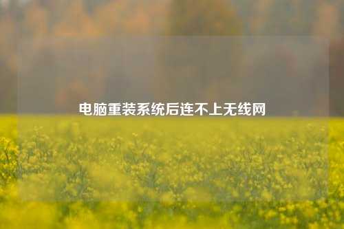 电脑重装系统后连不上无线网