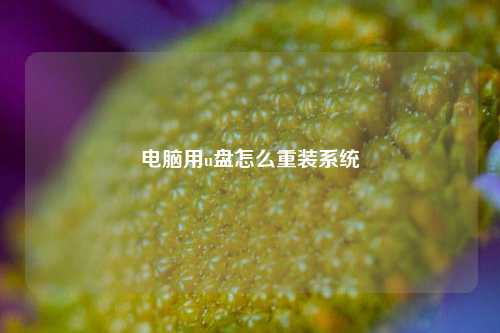 电脑用u盘怎么重装系统