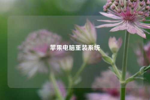 苹果电脑重装系统