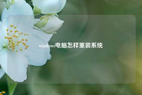 windows电脑怎样重装系统