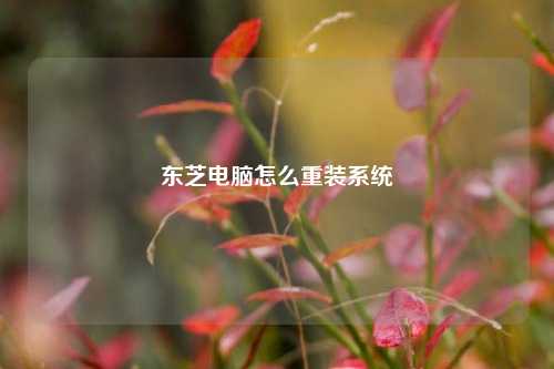 东芝电脑怎么重装系统