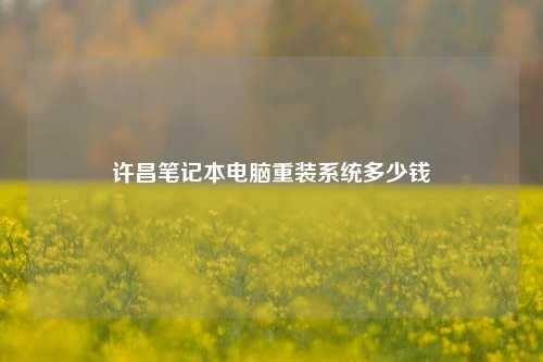 许昌笔记本电脑重装系统多少钱