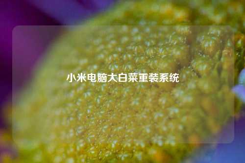 小米电脑大白菜重装系统