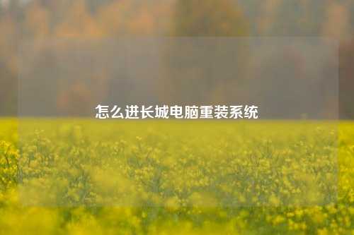 怎么进长城电脑重装系统