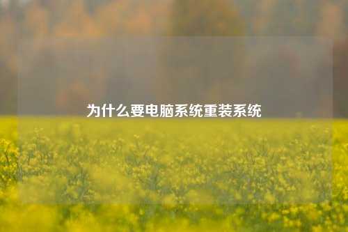 为什么要电脑系统重装系统