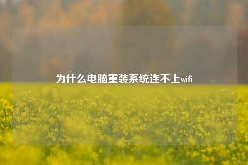 为什么电脑重装系统连不上wifi