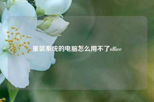 重装系统的电脑怎么用不了office