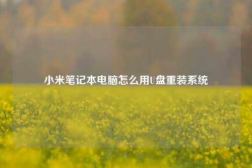 小米笔记本电脑怎么用U盘重装系统