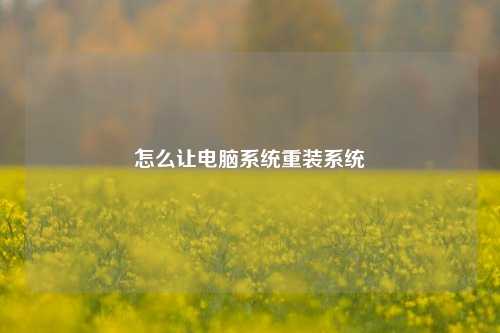 怎么让电脑系统重装系统