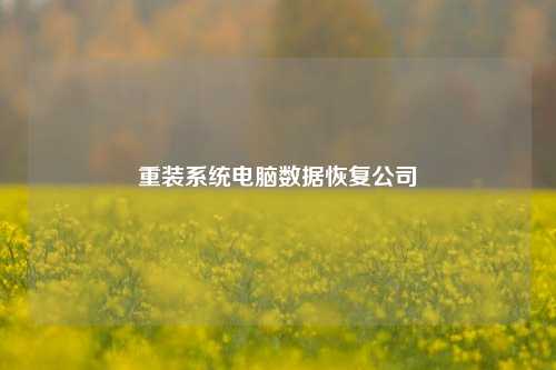 重装系统电脑数据恢复公司